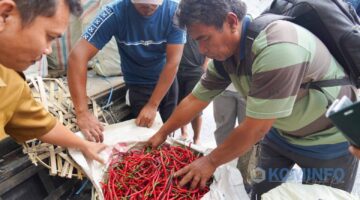 Bupati Karo Lepas Pengiriman Cabai Merah ke Kota Palangka Raya, Perkuat Kerjasama Antar Daerah