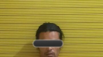 Delapan Batang Ganja Ditemukan di Ladang Warga Merek, Polres Karo Amankan Satu Tersangka