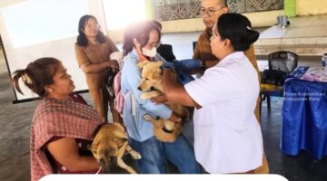 Peringati World Rabies Day 2026, Pemkab Karo Gelar Vaksinasi Rabies Massal